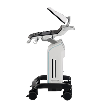 GE Ultraschall Versana Balance - Berger Medizintechnik GmbH