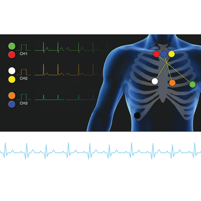 CardioDay 2.7 - Berger Medizintechnik GmbH